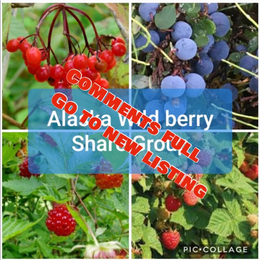 🍓Full 🍓 like new listing to be featured ❣️